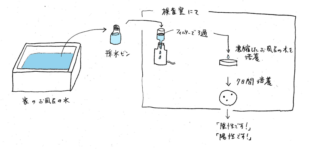 レジオネラ検査の図解