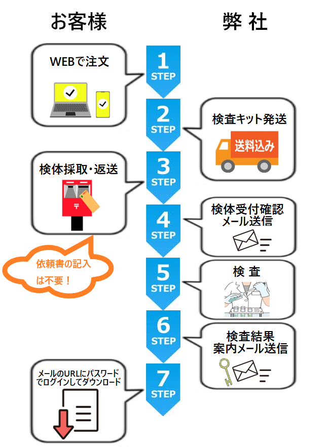 性感染症フロー図