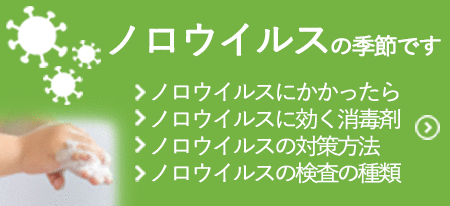 ノロウイルスの対策、症状解説記事とネット依頼口